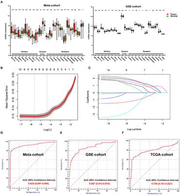 A Novel m6A Gene Signature Associated With Regulatory Immune Function for Prognosis Prediction in Clear-Cell Renal Cell Carcinoma